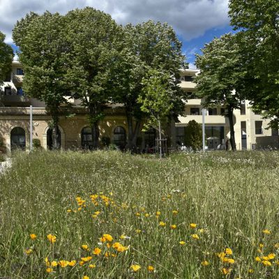 Extérieur du bâtiment de la résidence séniors "L'Orangerie du château Levat"