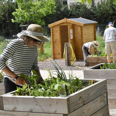 Potager de la résidence séniors "L'Orangerie du château Levat"